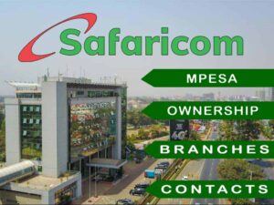 Safaricom MPesa Ownership History