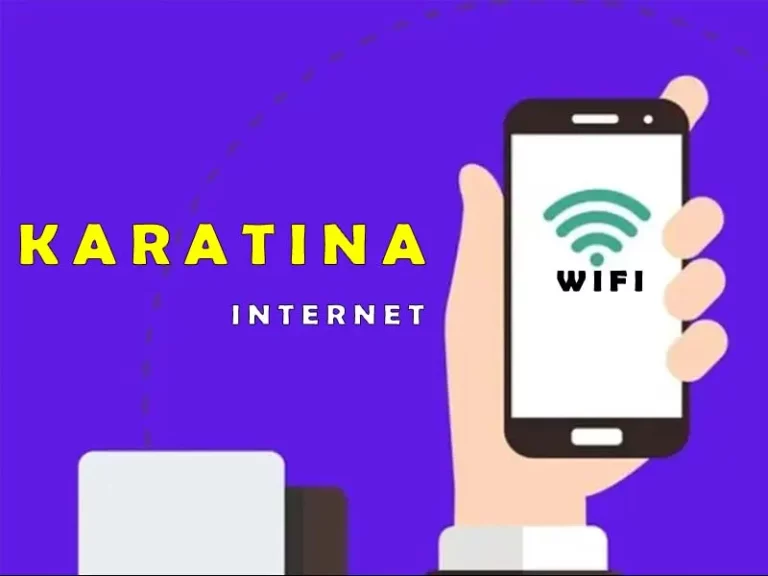 Best Internet Providers in Karatina